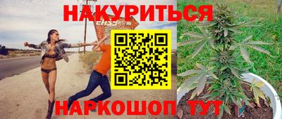 трава Гудермес