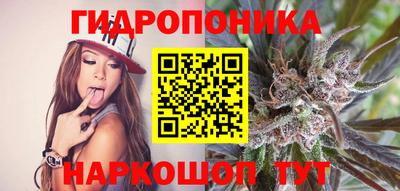 трава Гудермес