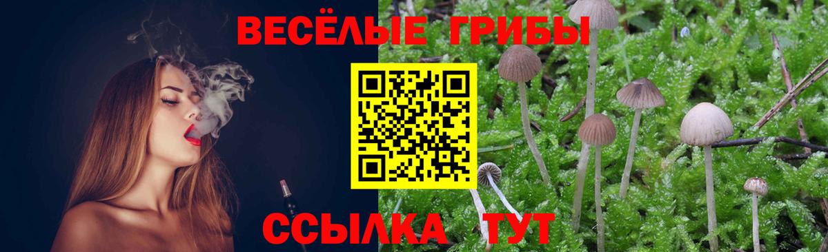 Ростов Великий  Галлюциногенные грибы Psilocybine cubensis  Вход с VPN 